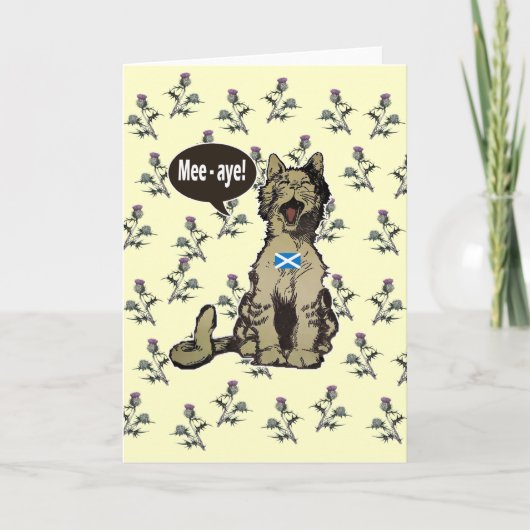 スコティッシュ・インディペンデンスカード カード (正面)