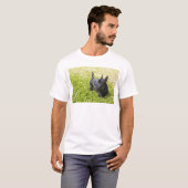 スコティッシュ・テリア Tシャツ (正面フル)