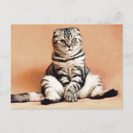 スコティッシュ・フォールド・キャットがソファに座る ポストカード