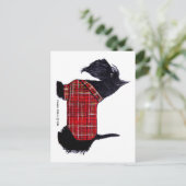 スコティホリデージャケット シーズンポストカード (スタンド正面)