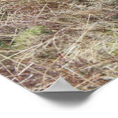 スコティ誇りを持ったッシュになること! ポスター (角)