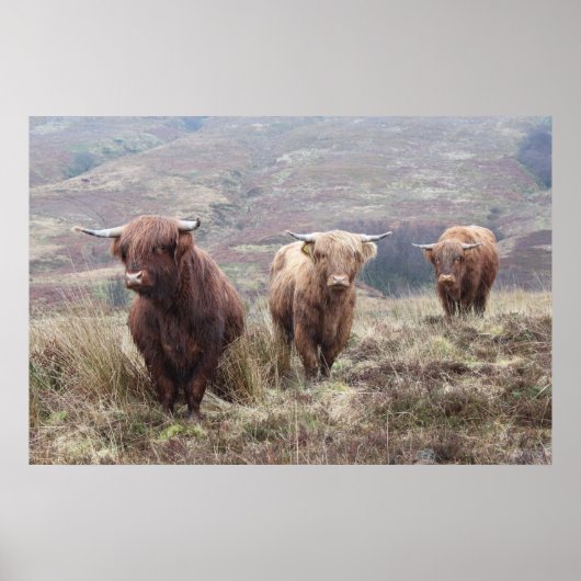 スコティ誇りを持ったッシュになること! ポスター (正面)