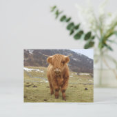 スコティ誇りを持ったッシュに! ポストカード (スタンド正面)