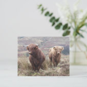 スコティ誇りを持ったッシュに！ ポストカード (スタンド正面)