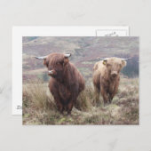 スコティ誇りを持ったッシュに！ ポストカード (正面/裏面)