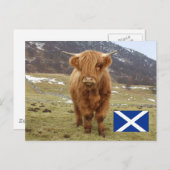 スコティ誇りを持ったッシュに! ポストカード (正面/裏面)