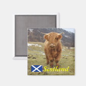 スコティ誇りを持ったッシュに！ マグネット (正面/裏面)