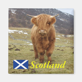 スコティ誇りを持ったッシュに！ マグネット