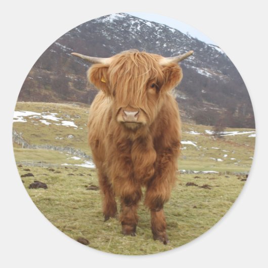 スコティ誇りを持ったッシュに！ ラウンドシール (正面)