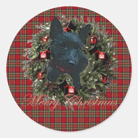 スコティ ラウンドシール (正面)