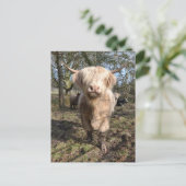 スコテ誇りを持ったィッシュになる ポストカード (スタンド正面)