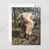 スコテ誇りを持ったィッシュになる ポストカード (正面/裏面)