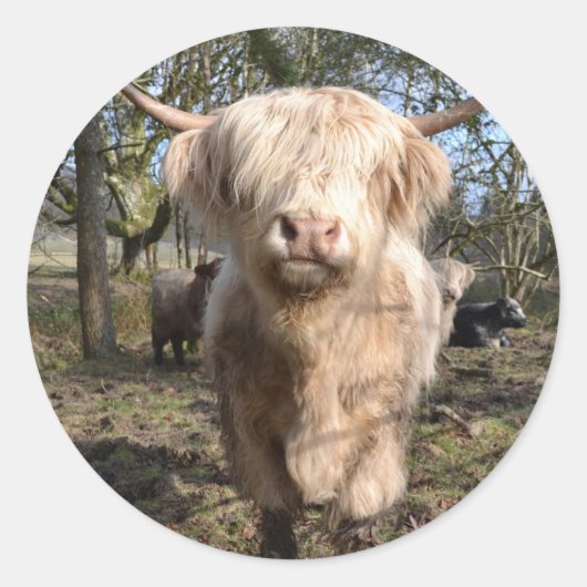 スコテ誇りを持ったィッシュになる ラウンドシール (正面)