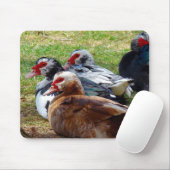 スコビエ マウスパッド (マウス)