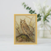 スコプズフクロウヴィンテージバードイラストレーション ポストカード (スタンド正面)