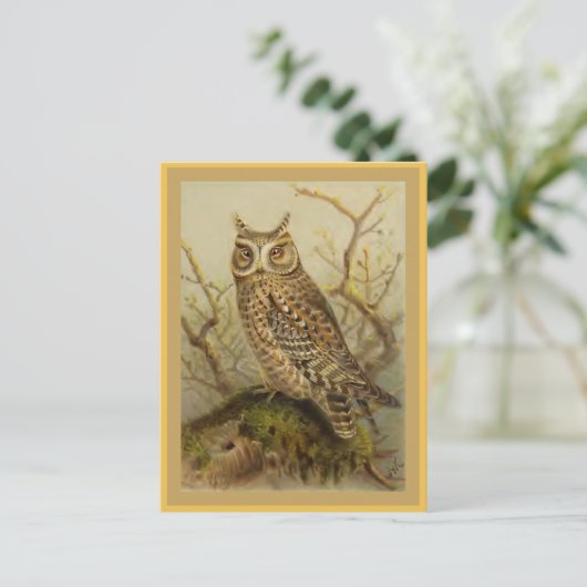スコプズフクロウヴィンテージバードイラストレーション ポストカード (スタンド正面)