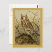 スコプズフクロウヴィンテージバードイラストレーション ポストカード (正面/裏面)