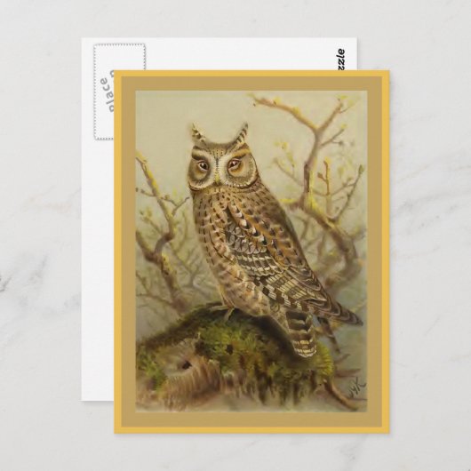 スコプズフクロウヴィンテージバードイラストレーション ポストカード (正面/裏面)