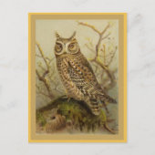 スコプズフクロウヴィンテージバードイラストレーション ポストカード (正面)