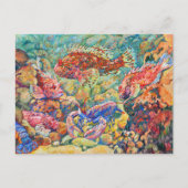 スコポインフィッシュロブスター水族館テオリュッセルベルグ ポストカード (正面)