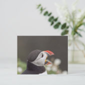 スコマーのトークプフィン ポストカード (スタンド正面)