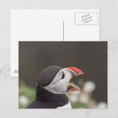 スコマーのトークプフィン ポストカード (正面/裏面)