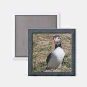 スコマーアイランドパフィン マグネット (正面/裏面)