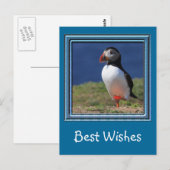 スコマー島プフィンズ ポストカード (正面/裏面)