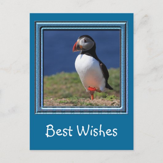 スコマー島プフィンズ ポストカード (正面)