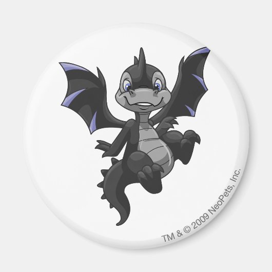 スコルキオ陰影 マグネット (正面)