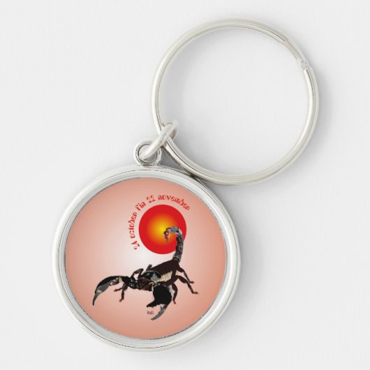 スコルピアン24 10月22日11月22日 キーホルダー (正面)