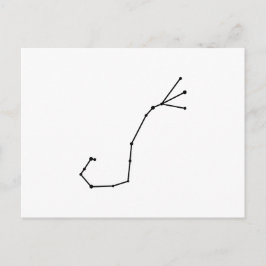 スコルピウス〔占星術の〕十二宮図はがき ポストカード