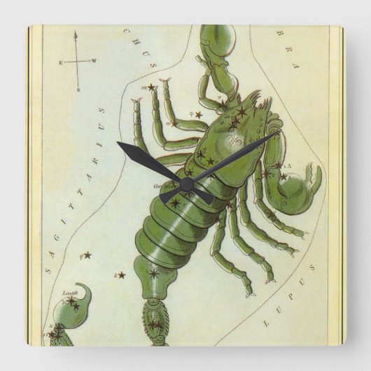 スコルピオ、ヴィンテージ星座ウラニアの鏡 スクエア壁時計 (正面)