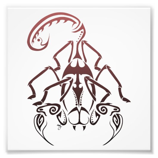 スコーピオンプリント フォトプリント            (正面)