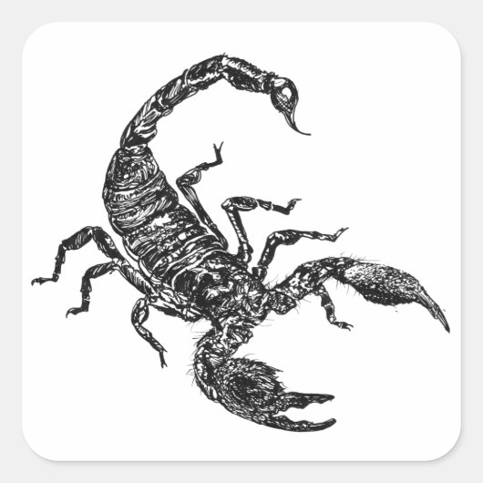 スコーピオン スクエアシール (正面)