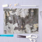 スズカケの木の樹皮の剥離と脱 薄葉紙 (クラフト)