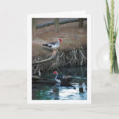 スズガモの湖の肖像 カード (正面)