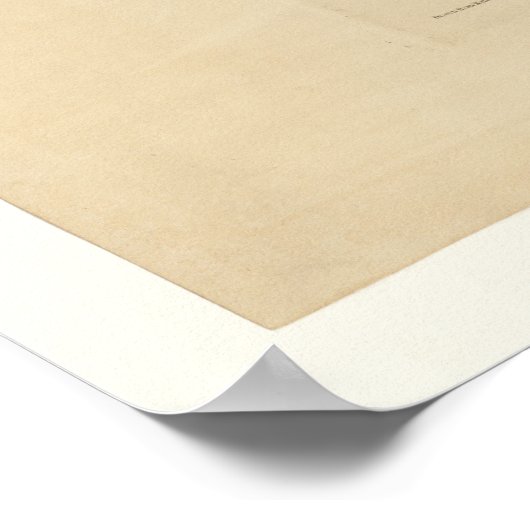 スズメのタカ ポスター (角)