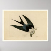 スズメのタカ ポスター (正面)