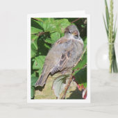 スズメの肖像 カード (正面)