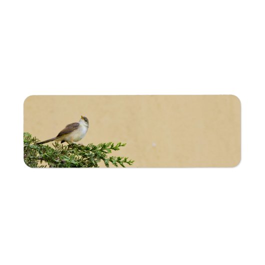 スズメの鳥の作品 ラベル (正面)