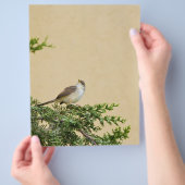 スズメの鳥の写真 チラシ (手)