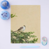 スズメの鳥の写真 チラシ (シングル)