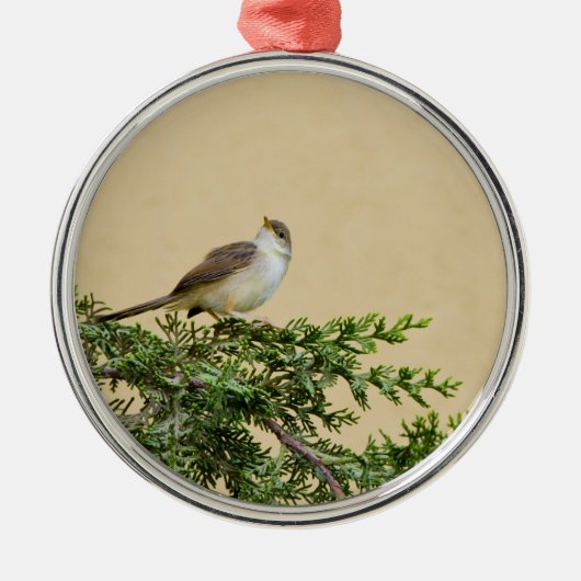 スズメの鳥の写真 メタルオーナメント (正面)