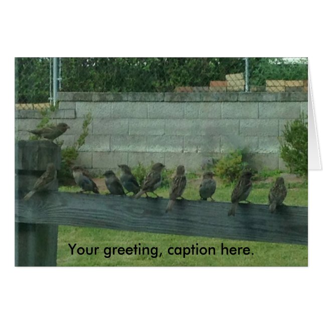 スズメの鳥 電車のレールに止まったあなたの言葉カード (正面横)