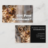 スズメバチ害虫駆除剤 名刺 (正面/裏面)