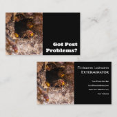 スズメバチ害虫駆除剤 名刺 (正面/裏面)