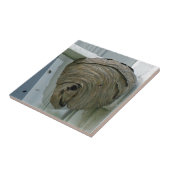 スズメバチ タイル (側面)