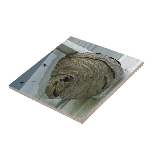 スズメバチ タイル (側面)