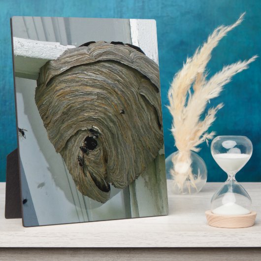 スズメバチ フォトプラーク (側面)